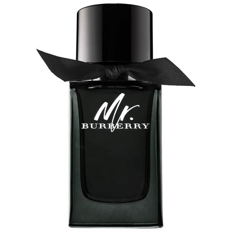 mister burberry|mr burberry price.